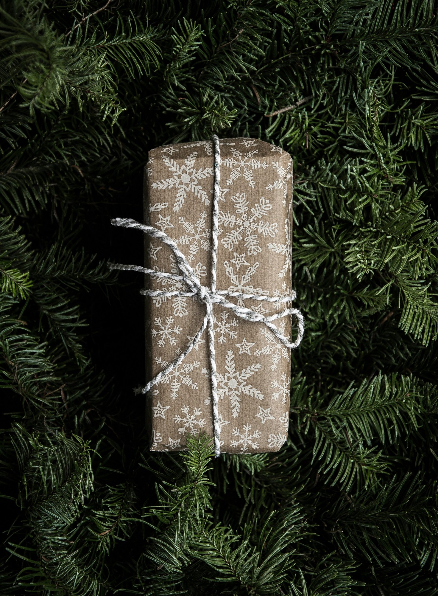 annie-spratt-HZuJfZlXVQY-unsplash